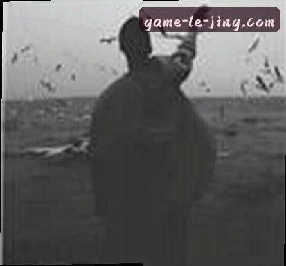 吴婷